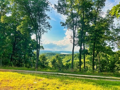 Tennessee River - Perry County Acreage For Sale in Linden Tennessee