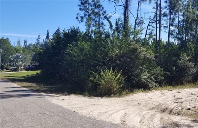 Lehigh Acres Area Lot For Sale in Lehigh Acres Florida