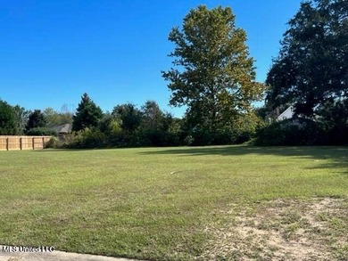 Are you wanting to build a beautiful new home in an established - photo 1