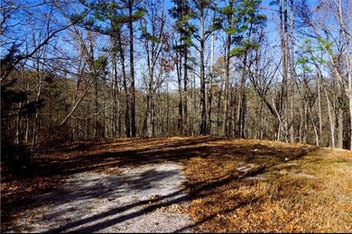 Lake Ann Lot For Sale in Bella Vista Arkansas