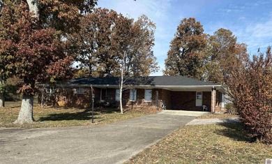 Lake Home For Sale in Cadiz, Kentucky