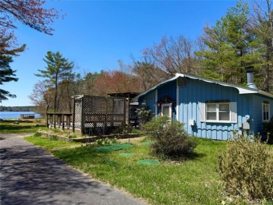 LAKEFRONT w/ Private Dock - photo 3