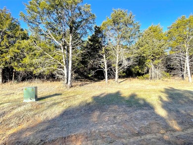 Discover this beautiful tree covered Palisades IV lot, very - photo 2