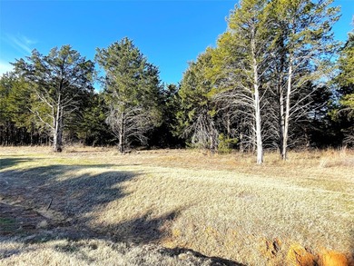 Discover this beautiful tree covered Palisades IV lot, very - photo 4