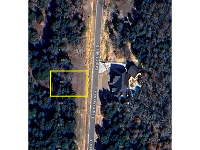 Discover this beautiful tree covered Palisades IV lot, very - photo 5