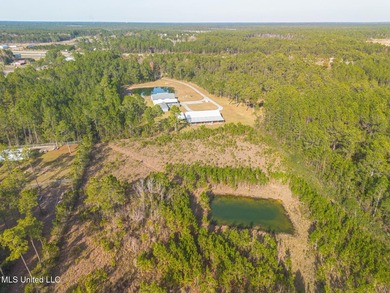Spacious Home on 5 Acres with Guest Quarters, Pond & Multiple - photo 6