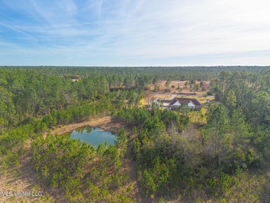 Spacious Home on 5 Acres with Guest Quarters, Pond & Multiple - photo 7