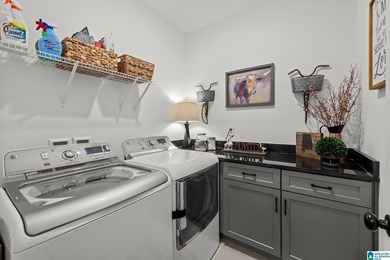 Located in The Preserve at Lake Mitchell on the beautiful waters - photo 28