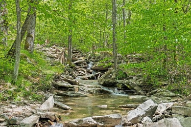 High Country's most scenic setting. Property runs *road to road* - photo 42