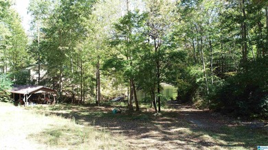 Lake Acreage For Sale in Wedowee, Alabama