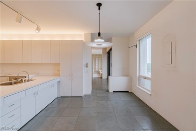 Rare opportunity to own one of the few penthouses in the - photo 11