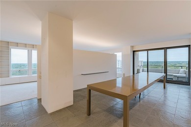 Rare opportunity to own one of the few penthouses in the - photo 14