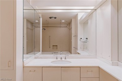 Rare opportunity to own one of the few penthouses in the - photo 20