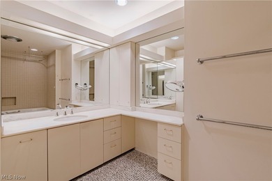 Rare opportunity to own one of the few penthouses in the - photo 21