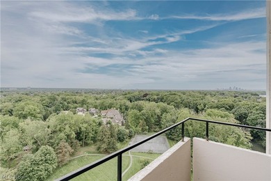 Rare opportunity to own one of the few penthouses in the - photo 26