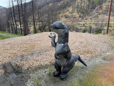 Klamath River Lot For Sale in Scott Bar California