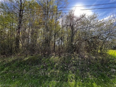 Lake Lot For Sale in Roaming Shores, Ohio