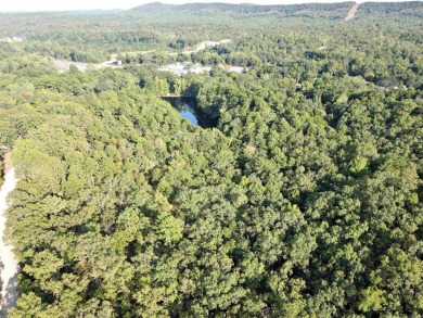 Lake Lot For Sale in Hot Springs, Arkansas