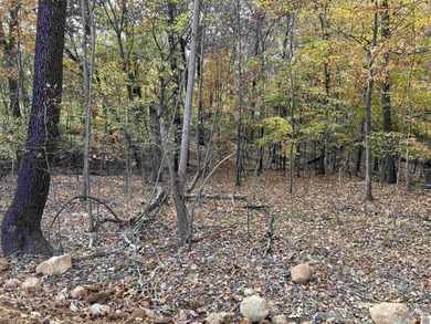 Lake Lot For Sale in Gilbertsville, Kentucky