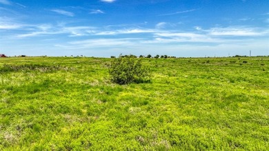 (private lake, pond, creek) Acreage For Sale in Godley Texas