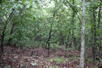 20.55 acres lying along a well-maintained county road with few - photo 6