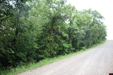 20.55 acres lying along a well-maintained county road with few - photo 8