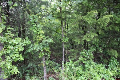 20.55 acres lying along a well-maintained county road with few - photo 9