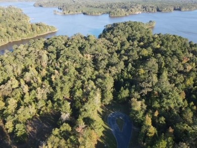 Strom Thurmond / Clarks Hill Lake Acreage For Sale in Tignall Georgia