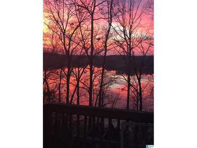 LOCATION! LOCATION! LOCATION! Just minutes from Pell City and - photo 19