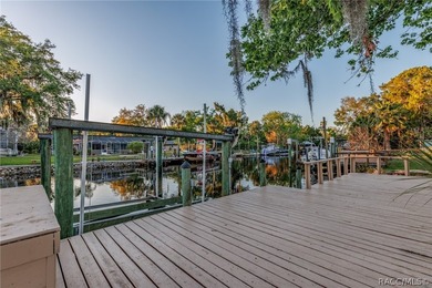 Experience the Ultimate Florida lifestyle in this stunning - photo 29