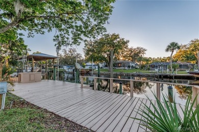 Experience the Ultimate Florida lifestyle in this stunning - photo 30