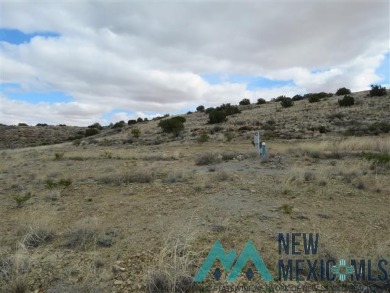 Elephant Butte Reservoir Lot For Sale in Elephant Butte New Mexico
