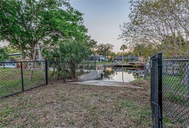 Experience the Ultimate Florida lifestyle in this stunning - photo 31