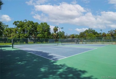 Experience the Ultimate Florida lifestyle in this stunning - photo 35