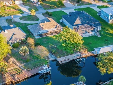 Experience the Ultimate Florida lifestyle in this stunning - photo 38
