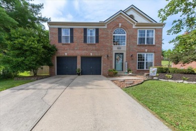 Lake Home For Sale in Independence, Kentucky