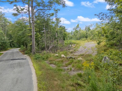 (private lake, pond, coastal) Lot For Sale in Newfield Maine