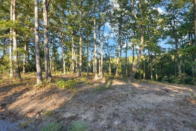 Kentucky Lake Lot For Sale in Stewart Tennessee