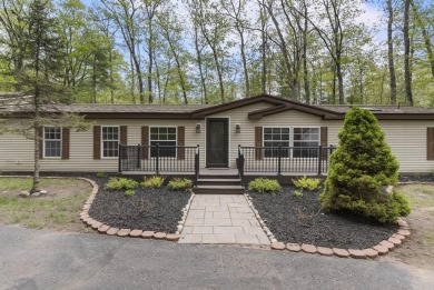 Lake Home Sale Pending in Indian River, Michigan
