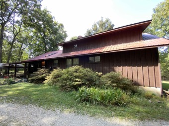 Bull Shoals Lake Home For Sale in Peel Arkansas