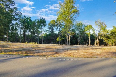 Lake Lot For Sale in Stewart, Tennessee