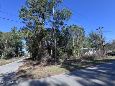 Buildable lot in Ocean Springs! Lot on Barnacle Blvd is situated - photo 1