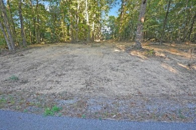 Lake Lot For Sale in Stewart, Tennessee