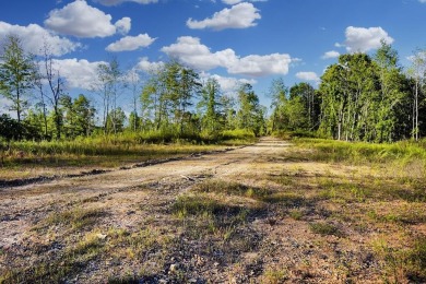 Lake Lot For Sale in Stewart, Tennessee