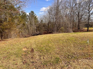 LAKEVIEW! Rare opportunity to purchase land overlooking 11 - photo 2