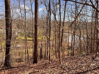 LAKEVIEW! Rare opportunity to purchase land overlooking 11 - photo 3