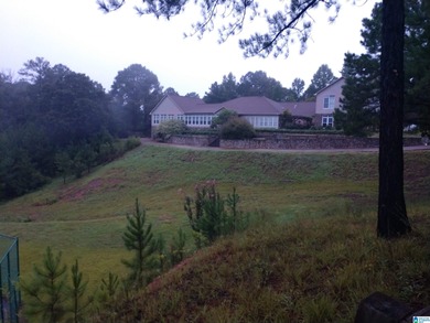 Lake Home For Sale in Rockford, Alabama