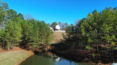 CAPTURE THE SERENITY OF THIS ONE OF A KIND HOME, OR EVENT - photo 4