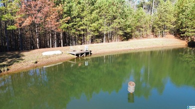 CAPTURE THE SERENITY OF THIS ONE OF A KIND HOME, OR EVENT - photo 8