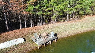 CAPTURE THE SERENITY OF THIS ONE OF A KIND HOME, OR EVENT - photo 10